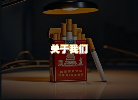 关于我们